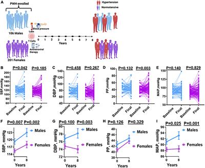 Sex differences in hypertension among people living with HIV after initiation of antiretroviral therapy